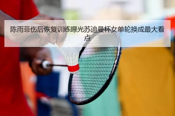 陈雨菲伤后恢复训练曝光苏迪曼杯女单轮换成最大看点